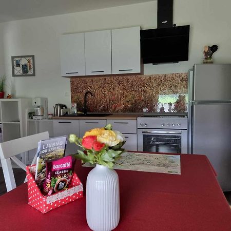 Apartmaji Ribic Ljubno Ngoại thất bức ảnh