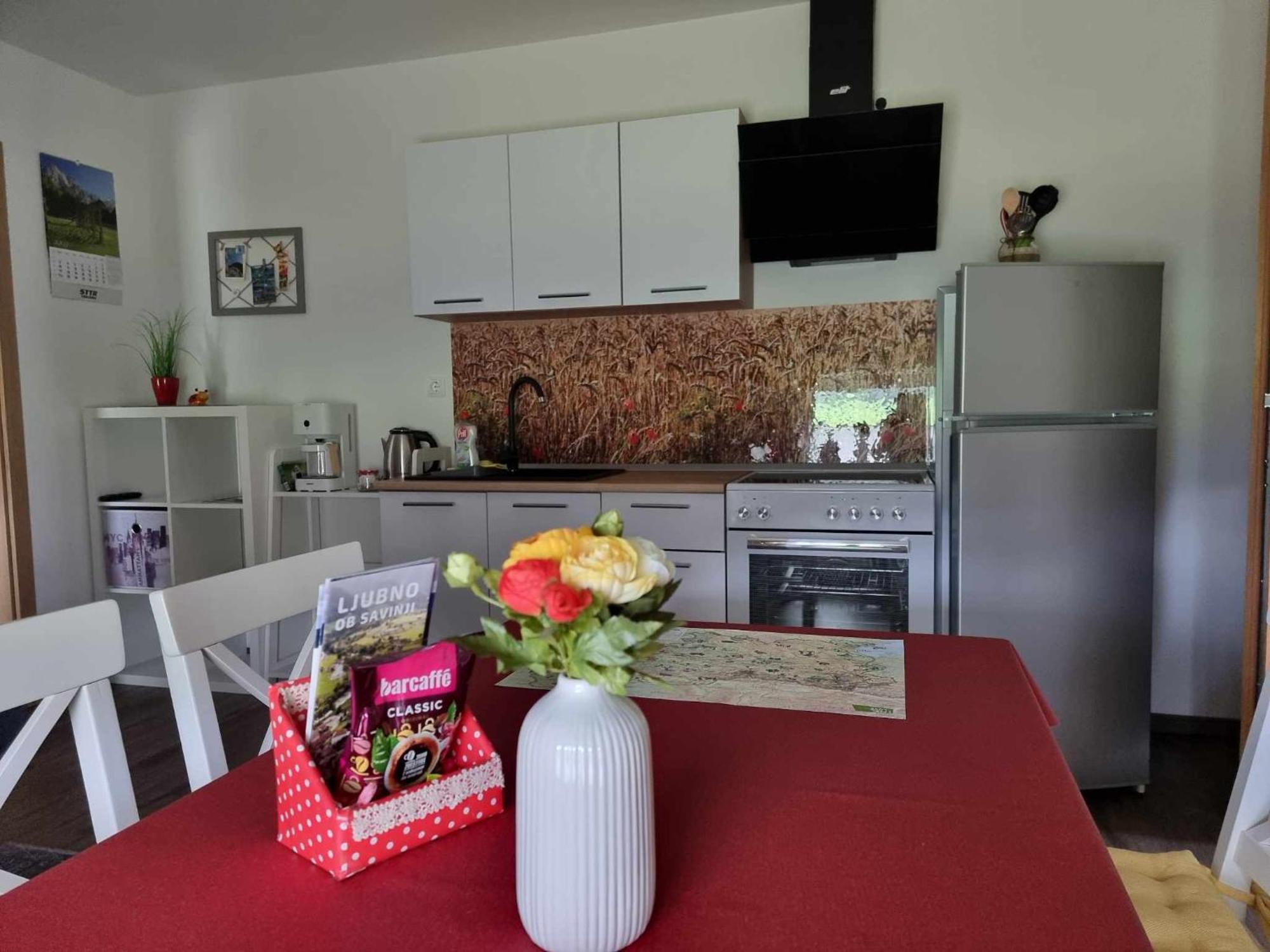Apartmaji Ribic Ljubno Ngoại thất bức ảnh